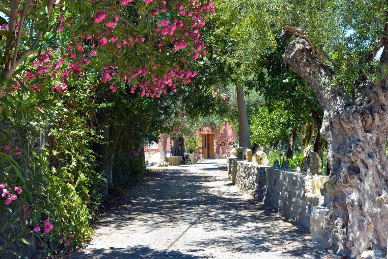 Avocado Villas Chania (Crete) Buitenkant foto